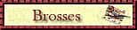 Brosses pour PSP